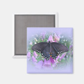Weibliches Spicebush-Frack Butterfly Magnet (Vorderseite/Rückseite)