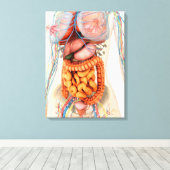 Weibliches Verdauungs- und Kreislaufsystem Leinwanddruck (Insitu (Holzboden))