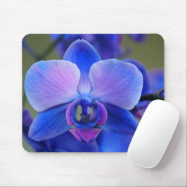 Weich blau und rosa Orchid Mousepad