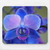 Weich blau und rosa Orchid Mousepad (Vorne)