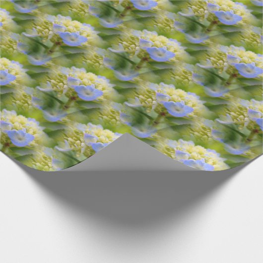 Weich blauer Hydrangea Blume Muster Natur Geschenkpapier (Ecke)