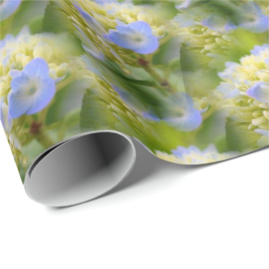 Weich blauer Hydrangea Blume Muster Natur Geschenkpapier (Rolleneckpunkt)