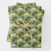 Weich blauer Hydrangea Blume Muster Natur Geschenkpapier Set (Beispiel)