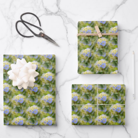 Weich blauer Hydrangea Blume Muster Natur   Geschenkpapier Set (Vorderseite)