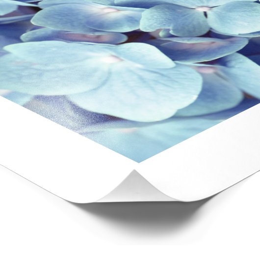 Weich blaues Hydrangea-Muster Fotodruck (Ecke)