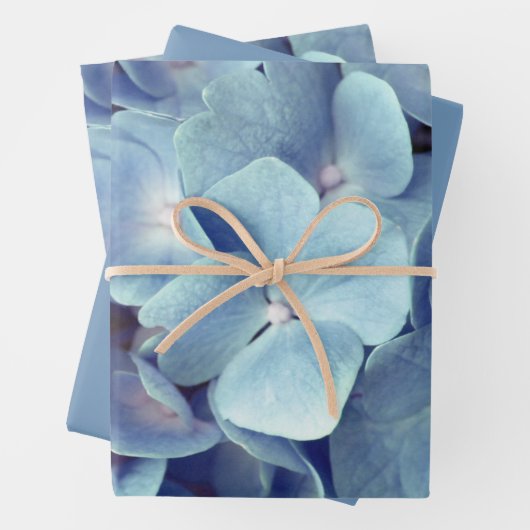 Weich blaues Hydrangea-Muster Geschenkpapier Set (Beispiel)