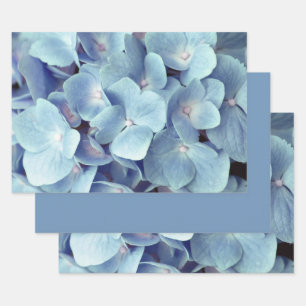 Weich blaues Hydrangea-Muster Geschenkpapier Set