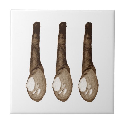 Weich-Geschälte Muscheln Fliese (Vorderseite)