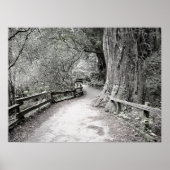 Weich gezogener, rustikaler Weg durch den Wald Poster (Vorne)