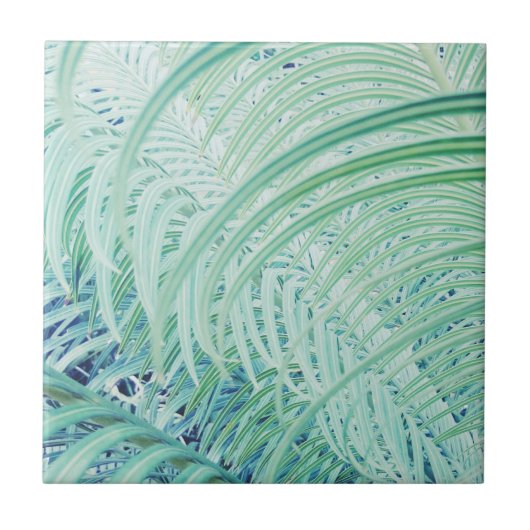 Weich grüne Pflanze Palm Blätter Pastel Fliese (Vorderseite)