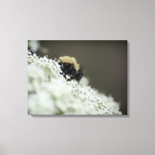 weich leinwanddruck (Vorderseite)