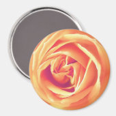 Weich orange Rose Magnet (Vorderseite/Rückseite)