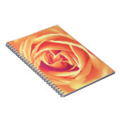 Weich orange Rose Notizblock (Rechte Seite)