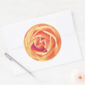 Weich orange Rose Runder Aufkleber (Umschlag)