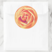 Weich orange Rose Runder Aufkleber (Tasche)