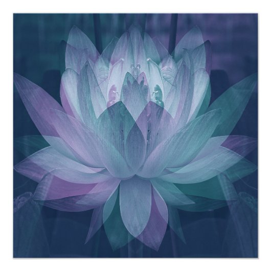 Weich... Poster (Vorderseite)