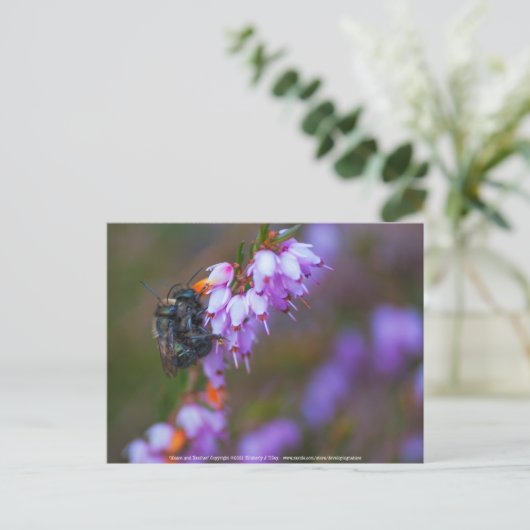 weich postkarte (Stehend Vorderseite)