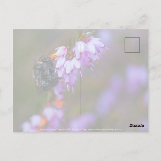 weich postkarte (Rückseite)