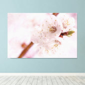 Weich rosa Apricot-Blume im Frühjahr Leinwanddruck (Insitu (Holzboden))