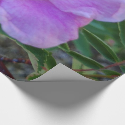 Weich rosa Blüte Geschenkpapier (Ecke)