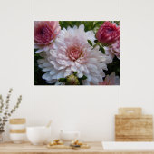 Weich rosa Chrysanthemum Poster (Küche)
