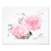 Weich rosa Kamelien Fotodruck (Vorne)