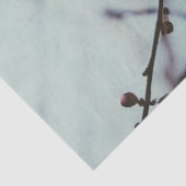 Weich rosa Kirschblossom Gewebepapier Seidenpapier (Detail)