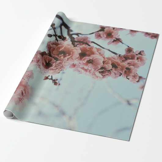 Weich rosa Kirschblossom Wrapping Paper Geschenkpapier (Ungerollt)