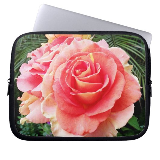 Weich rosa Rosa Blume nah-up Foto modern kühl Laptopschutzhülle (Vorderseite)