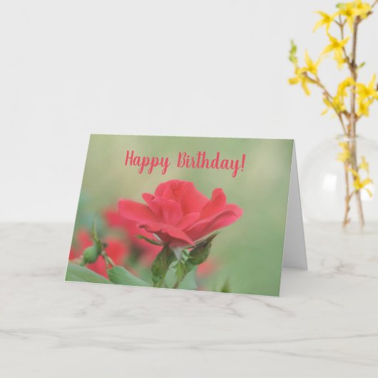 Weich rosa Rose Geburtstagkarte Karte (Gelbe Blume)