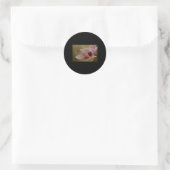 Weich rosa Träume blühen Sticker (Tasche)