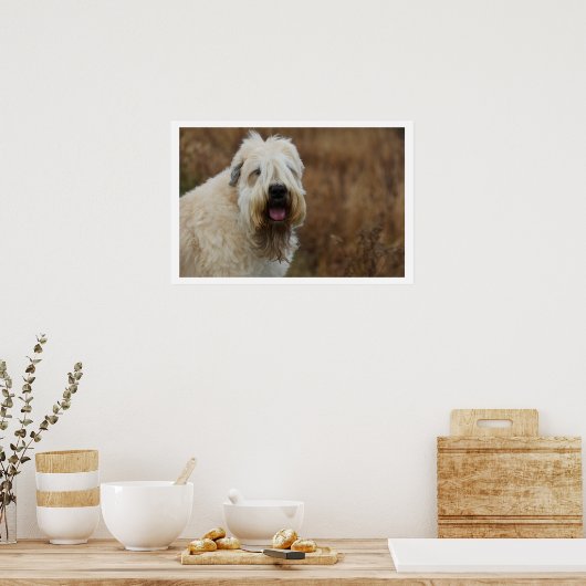 Weich überzogene Radscheibe Poster (Küche)