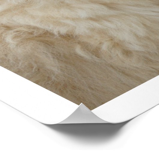 Weich überzogene Radscheibe Poster (Ecke)