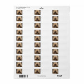 Weich überzogene Weiche Terrier.png (Vorne)