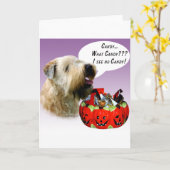 Weich überzogene Wheaten Süßigkeit Terriers Karte (Gelbe Blume)