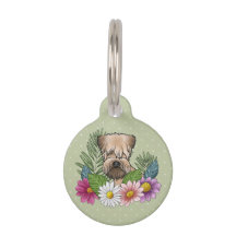 Weich überzogene Wheaten Terrier Kopf farbenfrohe