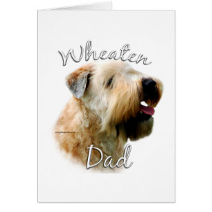 Weich überzogener Wheaten Terrier Vater 2