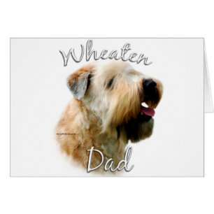 Weich überzogener Wheaten Terrier Vater 2