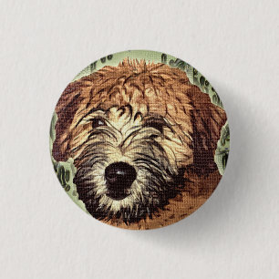 Weich-Überzogener Wheaten Terrier-Welpe mit nasse Button