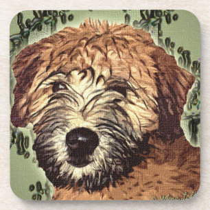 Weich-Überzogener Wheaten Terrier-Welpe mit nasse Untersetzer