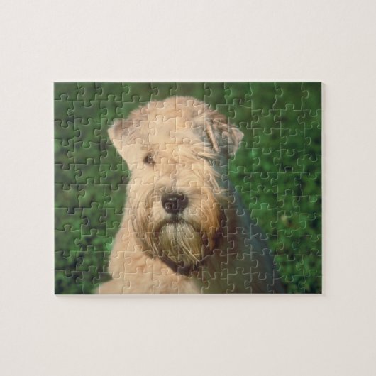 Weich überzogenes Wheaten Terrier-Hundepuzzlespiel Puzzle (Horizontal)