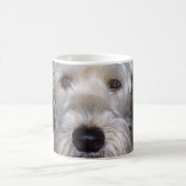 Weich überzogenes Wheaten Terrier Kaffeetasse (Mittel)