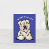 Weich überzogenes Wheaten Terrier Karte (Vorderseite)