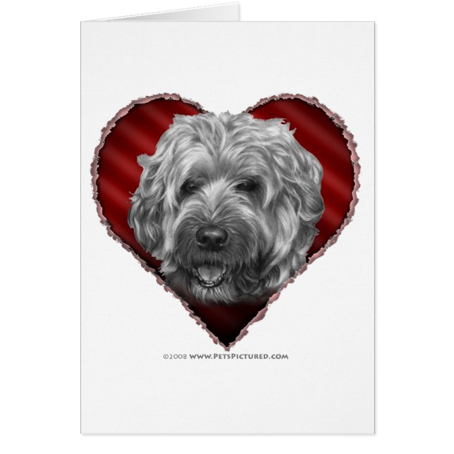 Weich-Überzogenes Wheaten Terrier mit Herzen (Vorne)