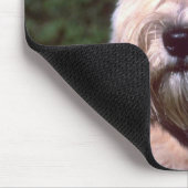 Weich-überzogenes Wheaten Terrier Mousepad (Ecke)