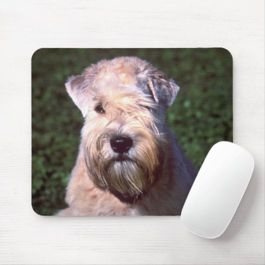 Weich-überzogenes Wheaten Terrier Mousepad (Mit Mouse)