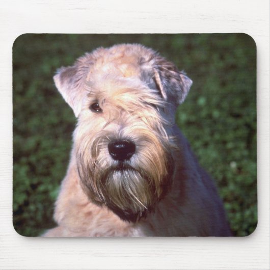 Weich-überzogenes Wheaten Terrier Mousepad (Vorne)
