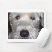 Weich überzogenes Wheaten Terrier Mousepad (Mit Mouse)