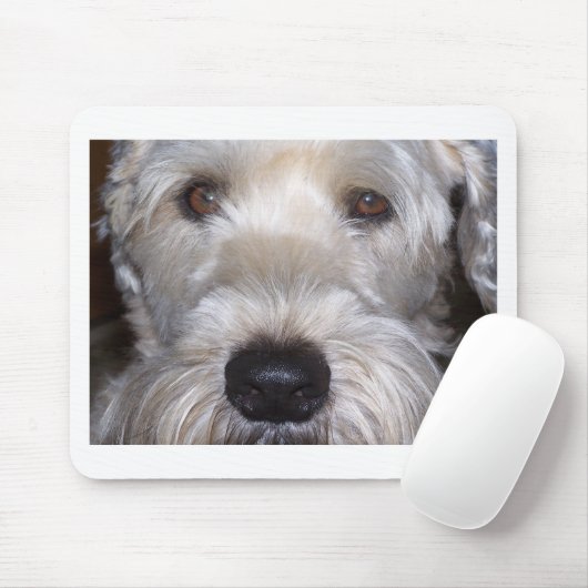 Weich überzogenes Wheaten Terrier Mousepad (Mit Mouse)