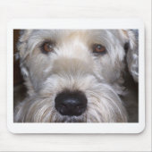 Weich überzogenes Wheaten Terrier Mousepad (Vorne)